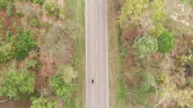 Kadın, sonbahar ormanında boş araba yolunda bisiklet sürüyor. Profesyonel bisikletçi tek başına motosiklet üzerinde pedal çeviriyor, bisiklet yarışına hazırlanıyor. Bisiklet ve triatlon konsepti