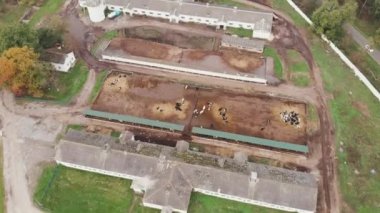 Ahır, tuğla binalar ve yalakta yemek yiyen bir sürü ineğin hava aracı görüntüsü. Tarım kavramı