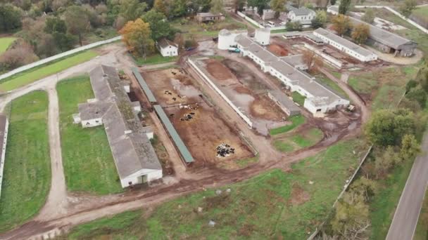 Grande stalla con un sacco di mucche, vista aerea drone. Vecchia fattoria di mucche con edifici in mattoni e mucche che mangiano in depressione. Concetto agricolo — Video Stock