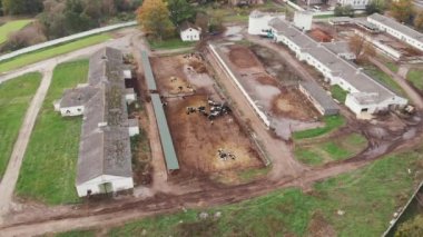 Kırsalda inek sürüsü olan ahır ahırı olan büyük bir tarım çiftliği. Tarım ve tarım kavramı. Tuğla binaları ve otlayan inekleri olan inek çiftliği.