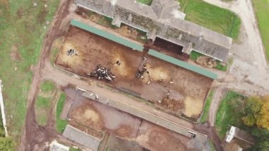 Endüstriyel tarım, tarım ve tarım kavramı. Çiftlikteki ağıllarda çiftlik inekleri sürüsü. Büyük ahır ve bir sürü ineğin dönen hava aracı görüntüsü.