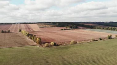 Sonbahar güneşli bir günde güzel doğal tarım arazileri. Drone buğday tarlası üzerinde uçuyor. Sarı tarım buğday tarlası. Buğday tarlası. Güneşli kırsal ve ekin tarlaları