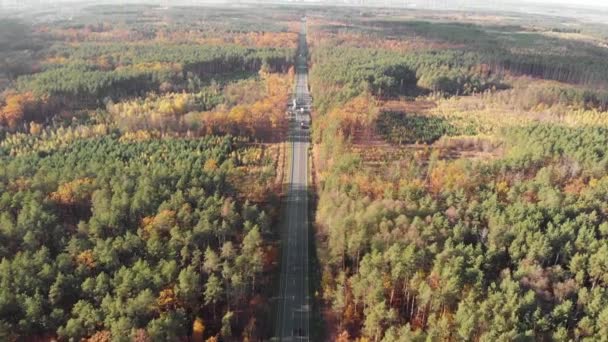 자동차와 트럭 들이 형형색색의 가을 숲을 가로지르는 고속 도로를 달리고 있다. 가을에는 차도에 녹색, 빨간색, 노란색 나뭇잎으로 둘러쌓여 있다 — 비디오