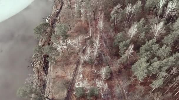 Winterwald mit See- und Pfad-Straße, Drone-Blick von oben. Drohne fliegt zur Winterzeit über Kiefernwald — Stockvideo