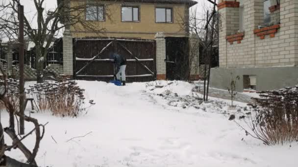 Az ember lapáttal takarítja a havat. A hím télen havat lapátol az ösvényről. — Stock videók