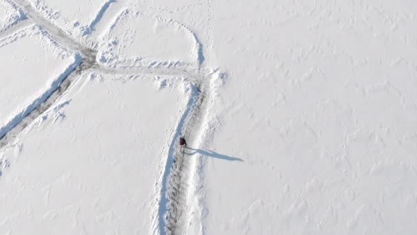 Eislaufen auf gefrorenem Wasserreservoir. Junge Frau skatet im Winter draußen — Stockvideo