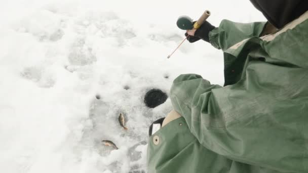 Pescatore sta pescando sul lago. Uomo con canna da pesca è la cattura di pesce in buco di ghiaccio — Video Stock