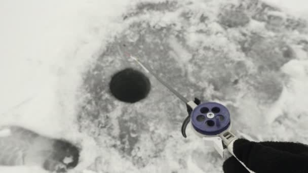 Man is fishing in ice hole. Fisherman with fishing rod for winter fishing — Stock Video