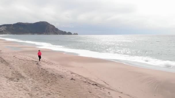 海岸での屋外カーディオトレーニング中に若い女性をジョギング。健康的なライフスタイル — ストック動画