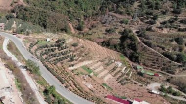 Baharda muz tarlaları, Alanya, Türkiye. Yamaçta ekilmiş tarlalar.