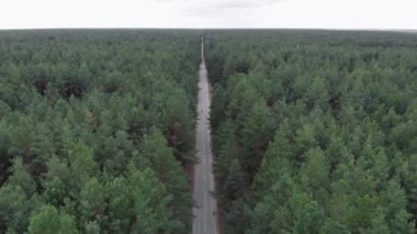 Güçlü bisiklet eğitimi. Bisiklet üzerinde triatlet antrenmanı. Bisikletçi egzersizleri