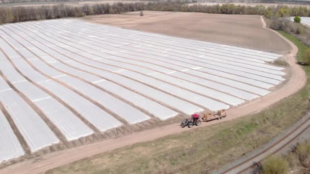 Łóżko z tworzywa sztucznego ściółka do produkcji warzyw na polu. Koncepcja rolnictwa — Wideo stockowe