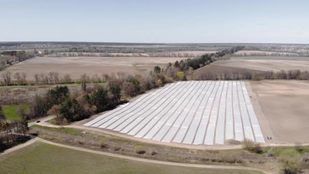 Fields covered with mulch foil. Cultivation, seeding and growing. Farming — Stock Video