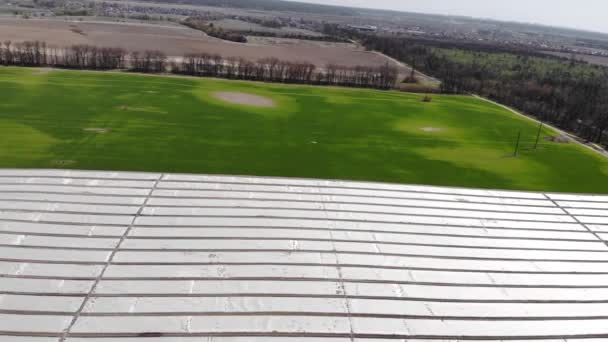 Letti ricoperti di olio di pacciamatura di plastica. Settore agricolo coperto da pacciamatura per la lotta contro le infestanti — Video Stock