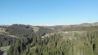 Dağlardaki çam ağacı ormanı. Vahşi, güzel doğa. Karpatlar Dağları