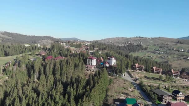 Foresta di pinete e valle di montagna. Montagne carpatiche contro il cielo blu — Video Stock