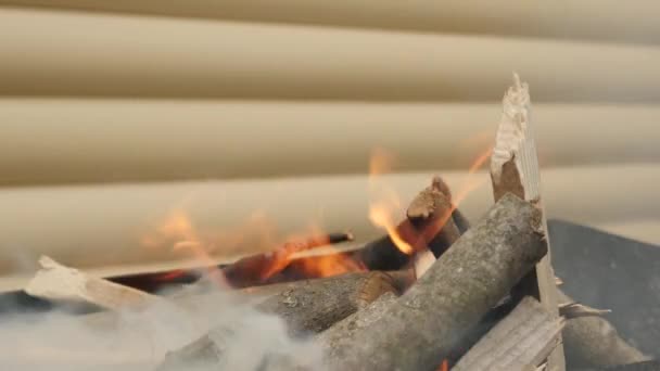 Bois de chauffage dans un feu de joie. Le bois de chauffage brûle pour le barbecue. Brazier — Video