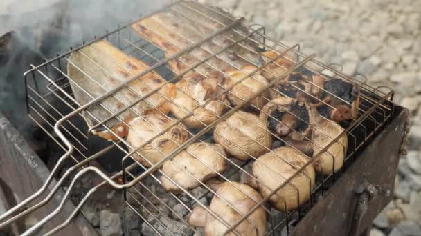 Gegrillter Fisch und Pilze auf dem Grill. Brennendes Holz. Picknick auf dem Hof — Stockvideo