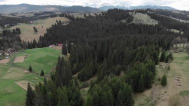 Karlı dağ zirveleri ve bulutlu gökyüzü. Kuş bakışı Karpat Dağları. Yeşil çam ağacı ormanı