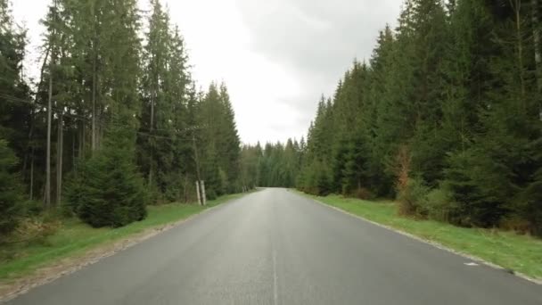Carretera vacía en las montañas. Naturaleza salvaje. Autopista a las montañas. Montañas Cárpatas — Vídeos de Stock