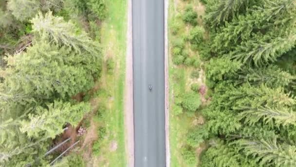 Cycliste à vélo dans la forêt. Cyclisme, triathlon. Entraînement des athlètes à vélo dans le parc national — Video