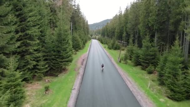 소나무 숲 속 도로 위를 달리는 자전거타기. 페달을 세게 밟고 훈련시키는 삼종 선수 — 비디오