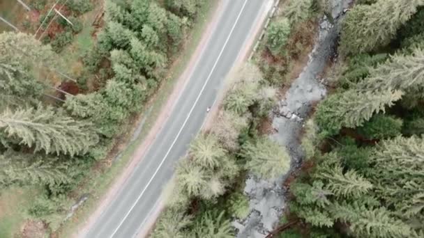 Cyclist rides on mountain road in national park forest. Woman on bike riding outdoors — Stock Video