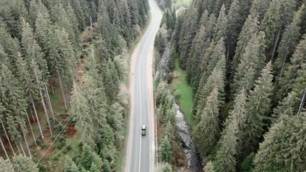 山の中で高速道路車。峠を走る。野生の自然、松林 — ストック動画