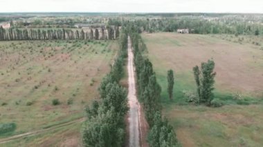 Kırsal kesimde tarlaları ve çayırları olan çakıl taşlı bir yol. Efsanevi kırsal alan