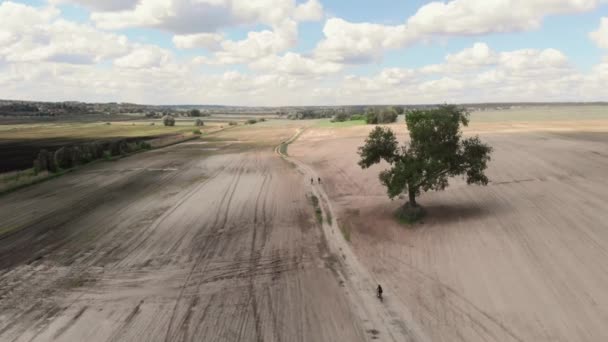 Adventures on gravel bikes. People riding on bicycles on gravel road in field — Stock video