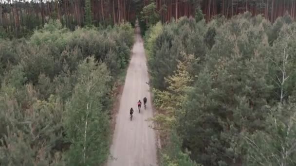 Bisikletçiler ormanda çakıllı yolda bisiklet sürüyorlar. Çakıl taşlı bisikletlerde bisiklet sürmek — Stok video