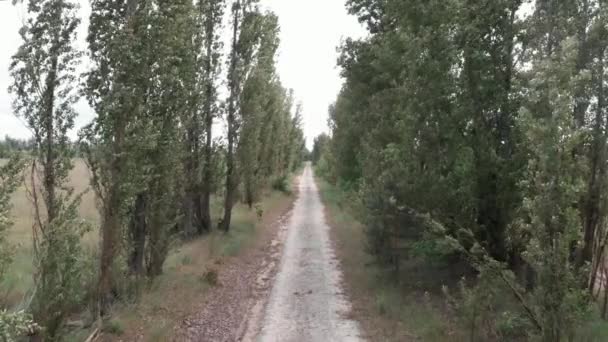 시골 자갈 길이요. 돌로 포장된 도로. 시골에 타일로 포장된 도로 — 비디오