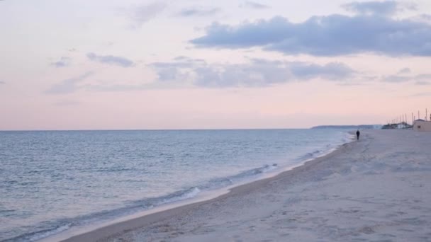 Θαλάσσια ακτογραμμή το ηλιοβασίλεμα. Στην ακτή το σούρουπο. Θαλάσσια κύματα συντρίβονται στην αμμώδη παραλία — Αρχείο Βίντεο