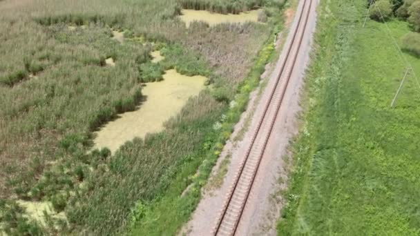 Flying over railway track, top view. Railroad among forest scene in summer — Stock Video