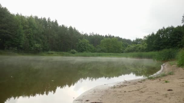 フォギー湖だ。霧に覆われた湖の水。水面に濃い霧が立ち込める朝 — ストック動画