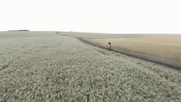 Gravel cycling. Woman cycling bicycle on gravel trail road. Cyclist riding bike — Stock Video
