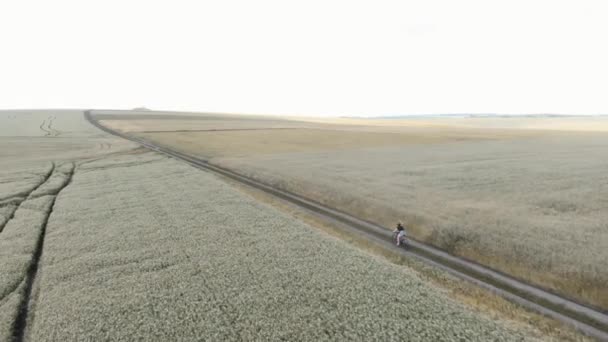 Vrouw aan het fietsen bij zonsopgang. Fietser fietsen grind fiets op pad weg in het veld — Stockvideo