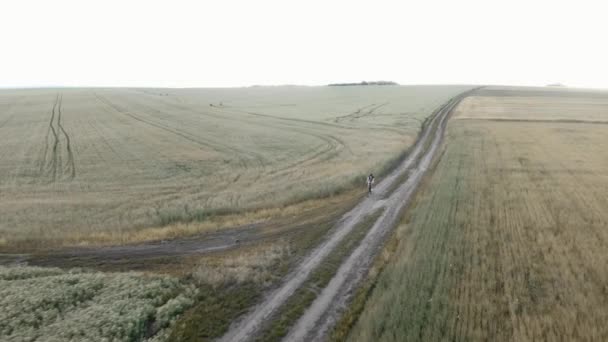 Radfahrer radeln auf Schotterfahrrad auf Wanderweg. Frau fährt Fahrrad auf Schotterstraße — Stockvideo