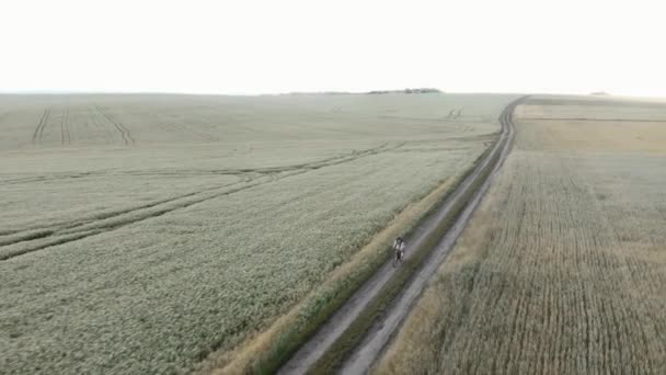 In bicicletta al tramonto. Donna a cavallo di ghiaia in bicicletta sulla strada sentiero all'alba — Video Stock