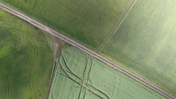 Countryside trail road in green field. Farm road. Rural road through green meadow — Stock Video