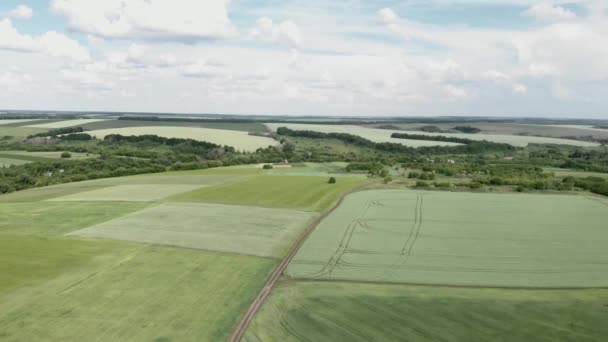 Paisagem rural épica com campos e prados contra o céu azul. Campos de trigo verde — Vídeo de Stock