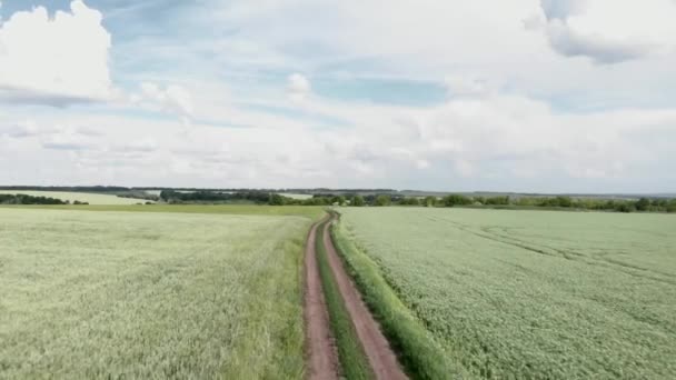 Venkovská cesta přes zelená pole. Let nad zemědělskými poli a silnicemi. Špinavá cesta — Stock video