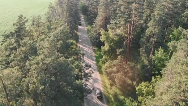 Carro ultrapassando ciclista, vista aérea drone. Ciclista de bicicleta na bicicleta na estrada movimentada do carro — Vídeo de Stock