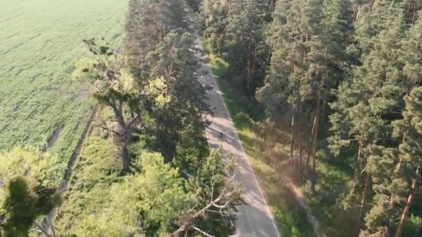 Žena cyklistka na kole na silnici cyklistika v úžasné přírodě krajina při západu slunce — Stock video