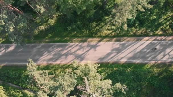 Sportovec na dlouhé rovné silnici v lese. Žena na kole při východu slunce — Stock video