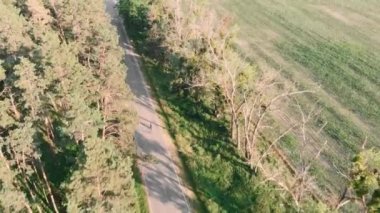Kadın bisikleti. Bisiklete binen kadın bisikletçi. Gün doğumunda bisiklet sürmek
