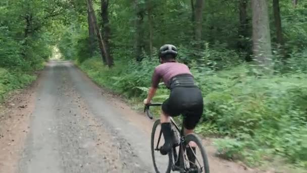 Ormanda bisiklet süren bir bisikletçi. Kadın milli parkta ya da ormanda çakıl yola çıkıyor. — Stok video