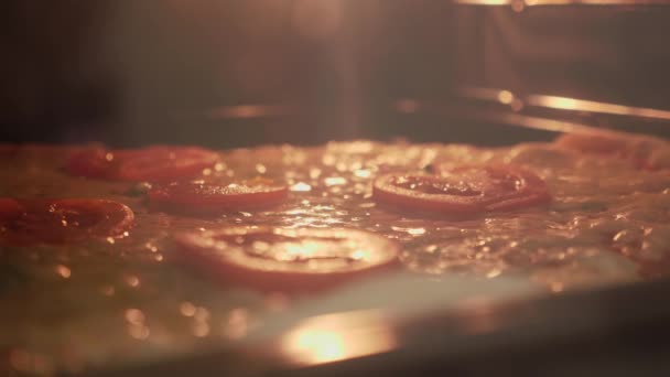 Hornear pizza en horno eléctrico. Pizza para hornear con tomate y queso hirviendo en el horno — Vídeos de Stock