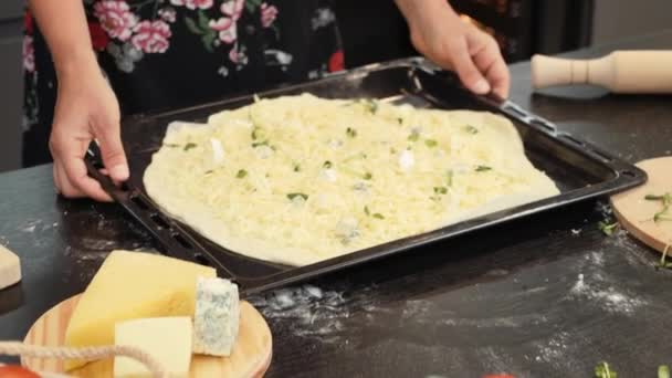 Hacer pizza casera en el horno. Mujer pone pizza de queso crudo en horno eléctrico — Vídeos de Stock