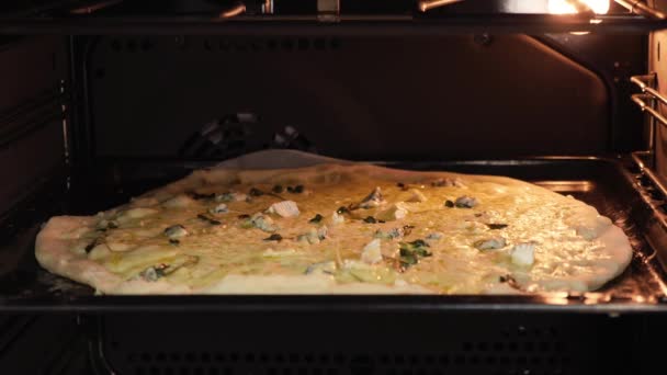 Pizza au four. Préparation de pizza au four, laps de temps. Cuisson de pizza au fromage — Video